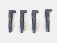 Kawasaki Concours 14 Ninja ZX10 ZX10R ZX14 & ZX14R Ignition Coil Spark Plug Caps - C3 Cycle