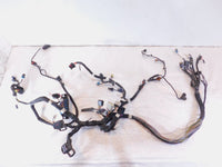 Indian Chief Classic & Vintage & Roadmaster Dark Horse Main Wiring Wire Harness