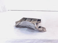 BMW K1200 K1200S K1200GT K1200R & K1300GT Engine Exhaust Heat Shield Protection - C3 Cycle