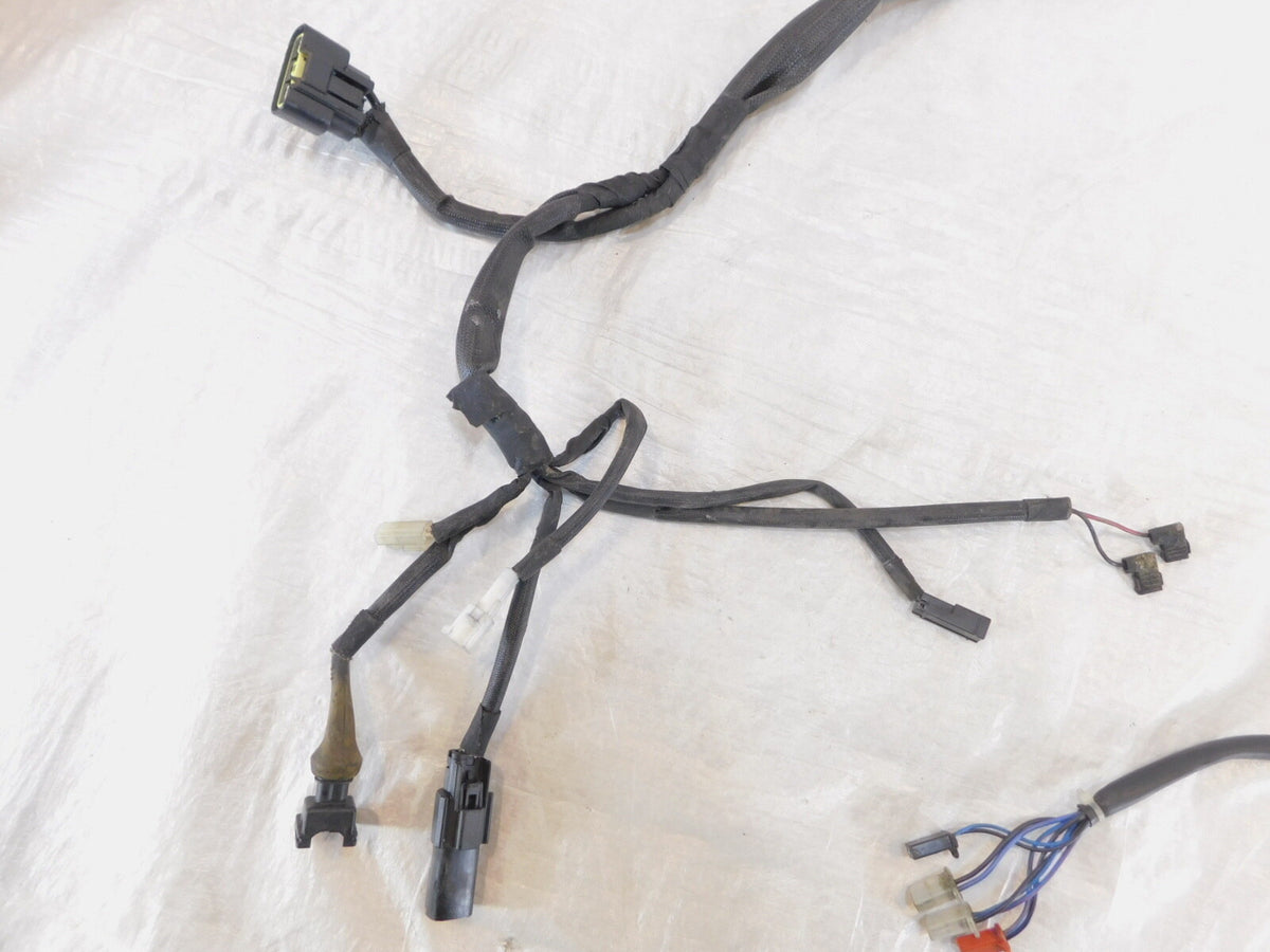 2015 & 2016 Harley Davidson Street 500 & 750 Main Wiring Wire Harness Loom - C3 Cycle