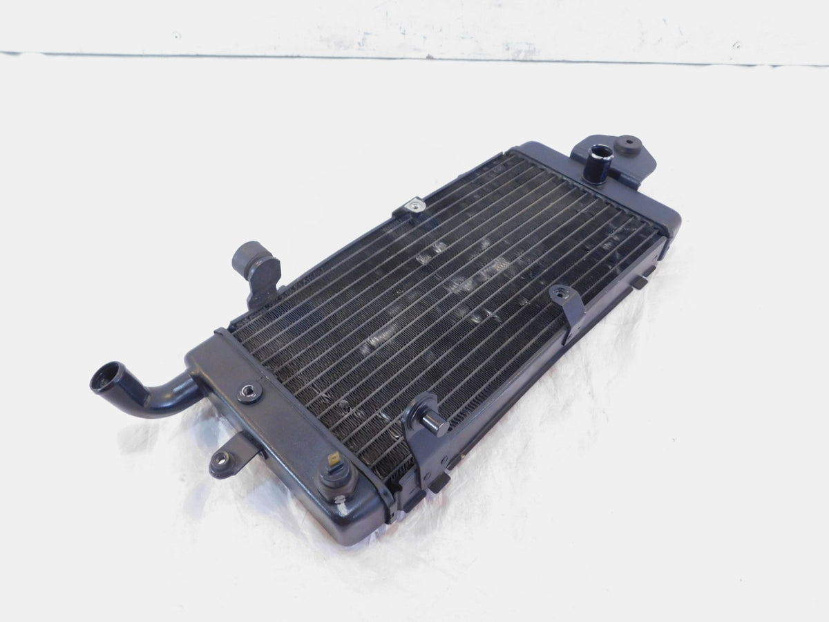 Honda VT1100 VT1100C Shadow 1100 ACE Spirit Sabre Front Engine Coolant Radiator - C3 Cycle