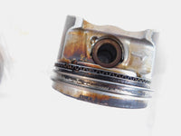 Harley Davidson Sportster 883 Custom & Low Silver Cylinder w/ Piston 16545-04 - C3 Cycle