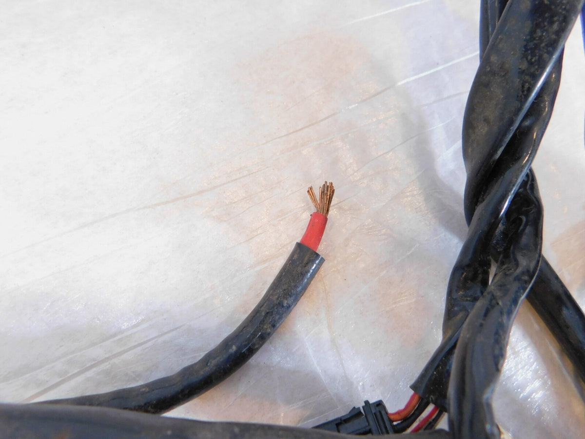 Harley Davidson Sportster 883 & 1200 Main Wiring Wire Harness Loom 69200077 - C3 Cycle