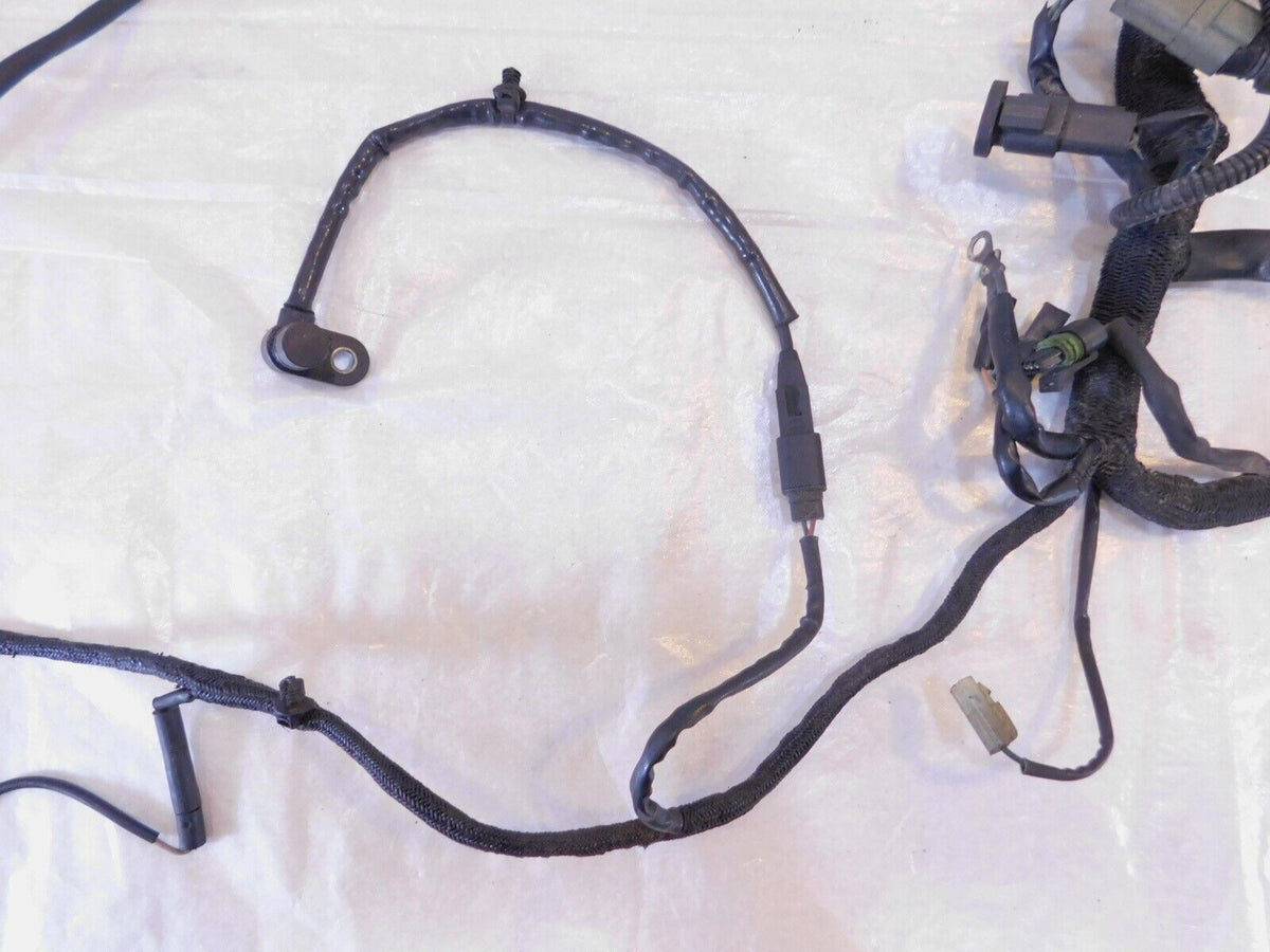 2005 Harley Davidson Sportster 883 & 1200 Wiring Wire Harness w/ Ignition Switch - C3 Cycle