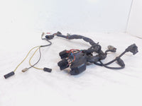 1995-1996 Harley Davidson Road King & Electra Glide EFI ECM Wire Wiring Harness - C3 Cycle