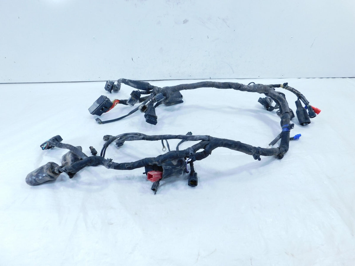 2021 21 Royal Enfield Himalayan 410 LS410 USA Main Wire Harness Wiring Loom - C3 Cycle
