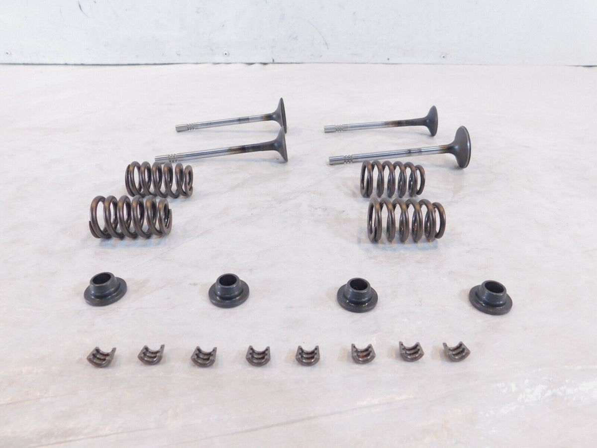 Victory Hammer Kingpin & Vegas Exhaust & Intake Valves w/ Retainers & Springs - C3 Cycle