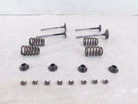 Victory Hammer Kingpin & Vegas Exhaust & Intake Valves w/ Retainers & Springs - C3 Cycle