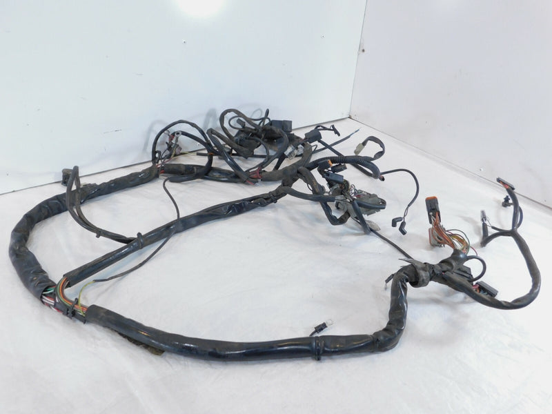 00 Harley Electra Glide Classic & Road Glide Main Electrical Wire Wiring Harness