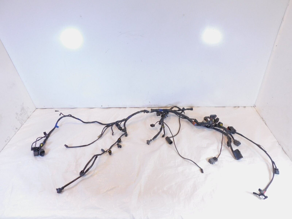 2007 2008 2009 2010 2011 2012 Triumph Tiger 1050 Main Wire Harness Wiring Loom - C3 Cycle