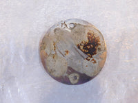 7e458c13-1cef-46e7-9e81-66f03344f23e