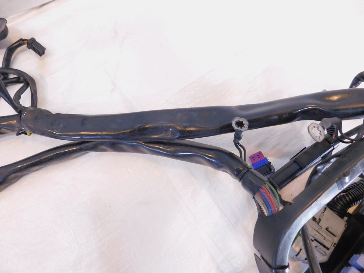 2007 Harley Davidson Softail Heritage Classic & Fat Boy Main Wire Wiring Harness