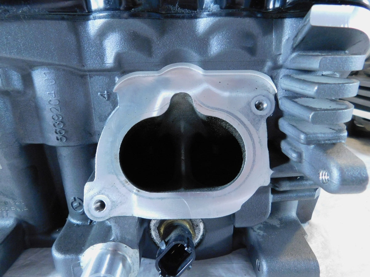 21-22 Indian Challenger Pursuit Limited & Dark Horse Engine Motor Cylinder Heads - C3 Cycle