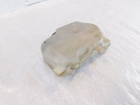 97-03 Honda GL1500 GL1500C Valkyrie 1500 Engine Coolant Reservoir Bottle Tank - C3 Cycle