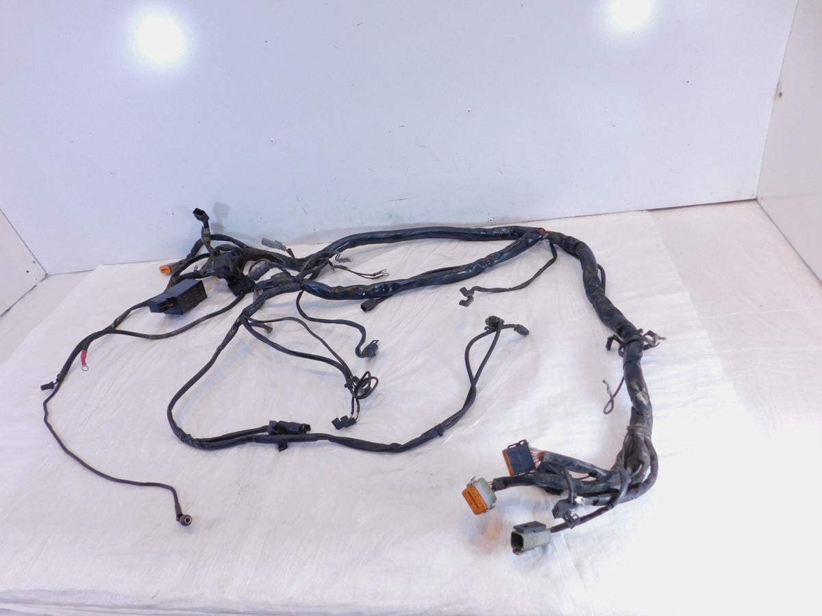 2005 Harley Davidson Touring Road & Electra Glide Main Wiring Wire Harness Loom - C3 Cycle