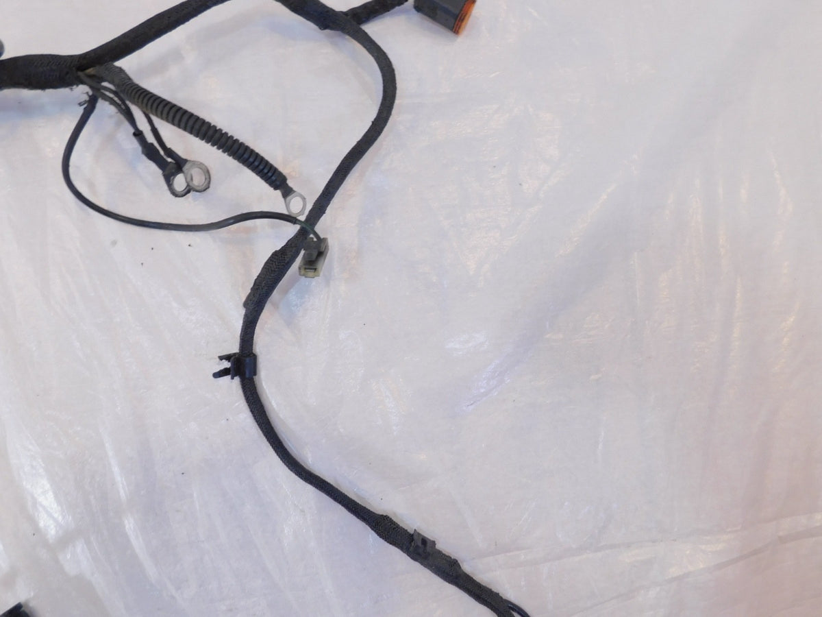 1999-2003 Harley Davidson EVO Sportster 883 1200 Main Wiring Turn Signal Harness - C3 Cycle