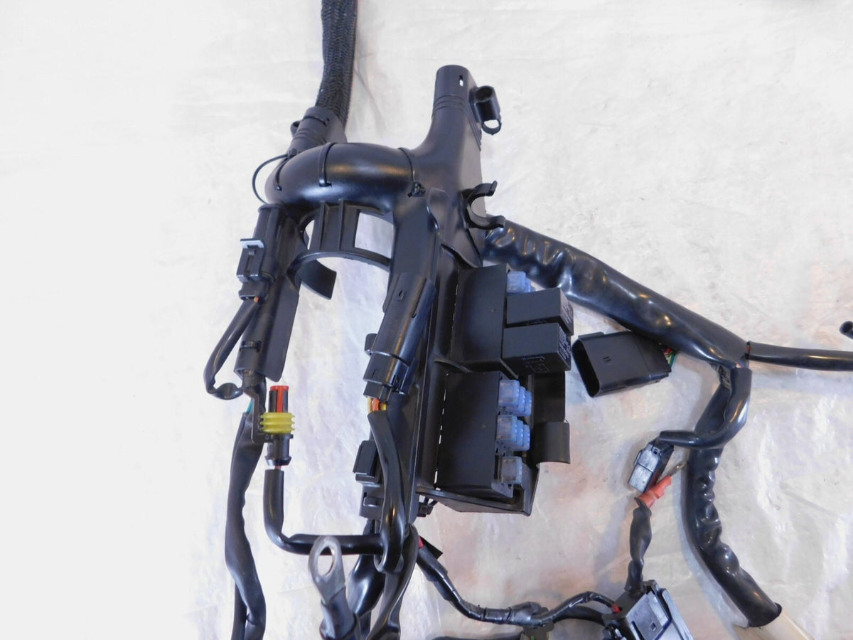 2009 09 Harley Davidson Sportster 883 & 1200 Main Wire Wiring Harness - No Key