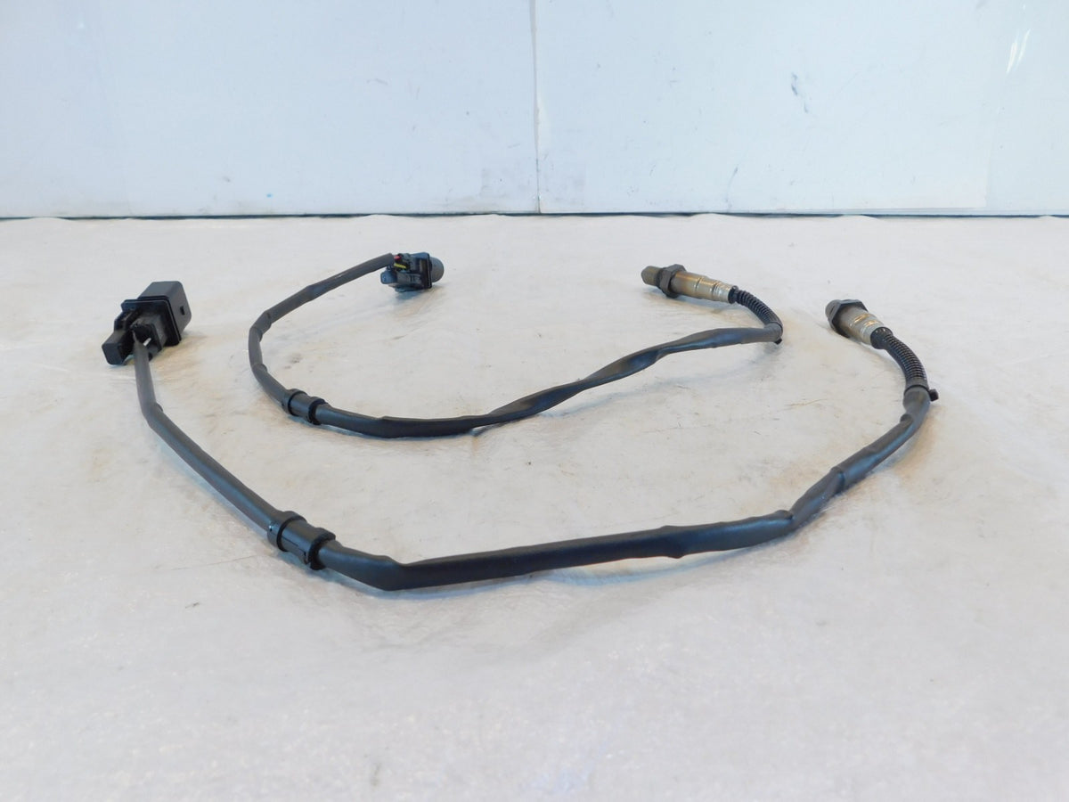 Harley Davidson Touring Road King Street & Electra Glide O2 Oxygen Sensors - C3 Cycle