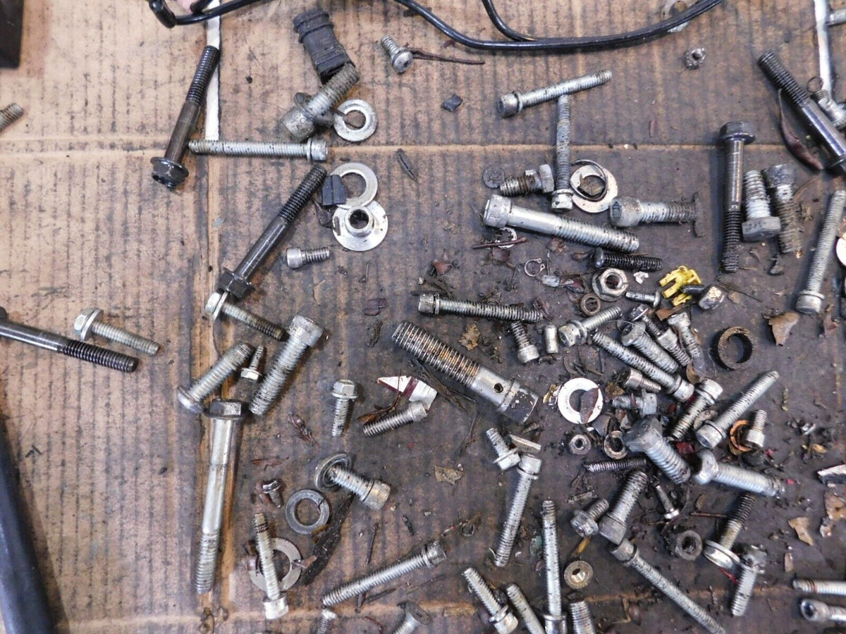 2013 13 Harley Davidson Sportster XL883 Iron Nuts Bolts & Brackets Parts Box Lot - C3 Cycle