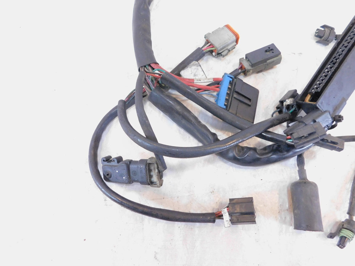 Harley Davidson Electra Glide Classic & Ultra Classic Fuel Injection EFI Harness - C3 Cycle
