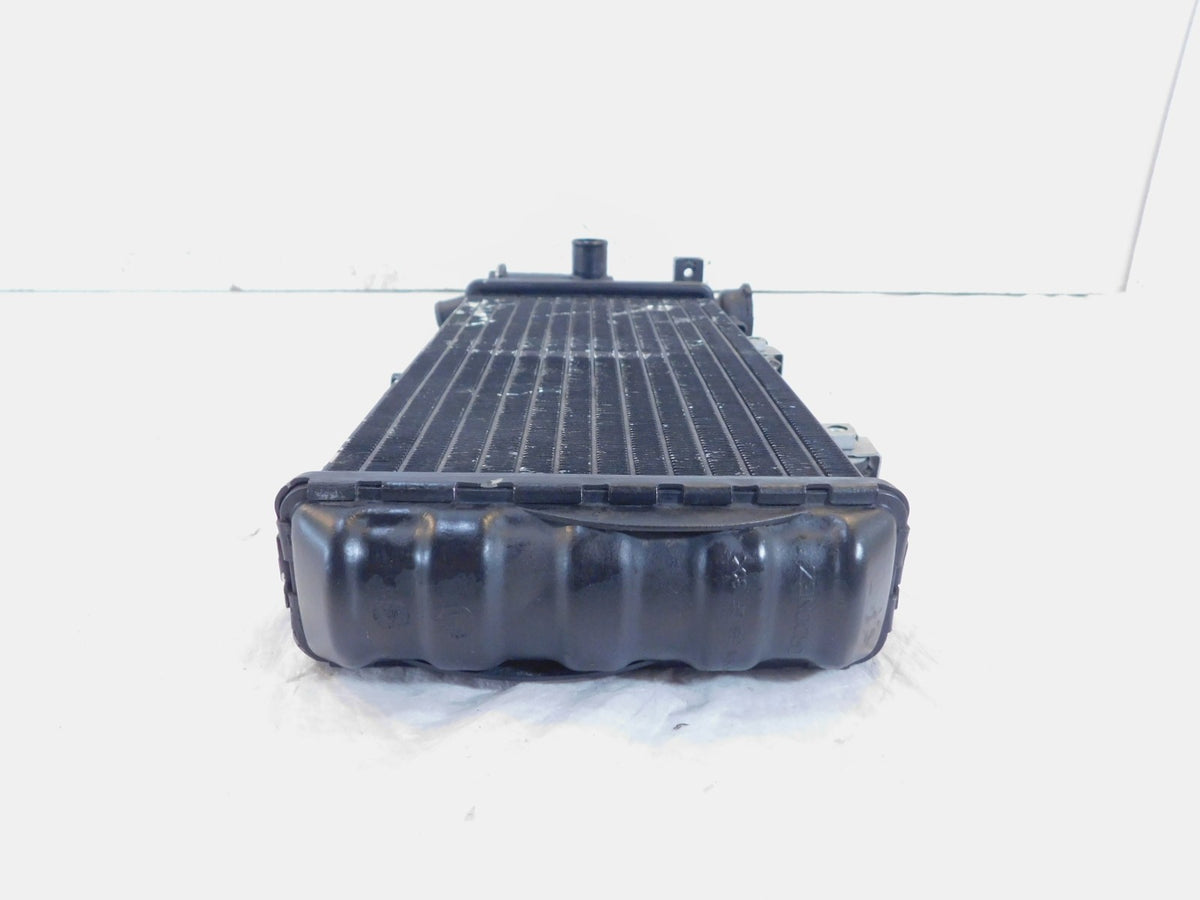 BMW F650CS F650GS Dakar & G650GS Sertao Engine Motor Water Cooling Radiator - C3 Cycle