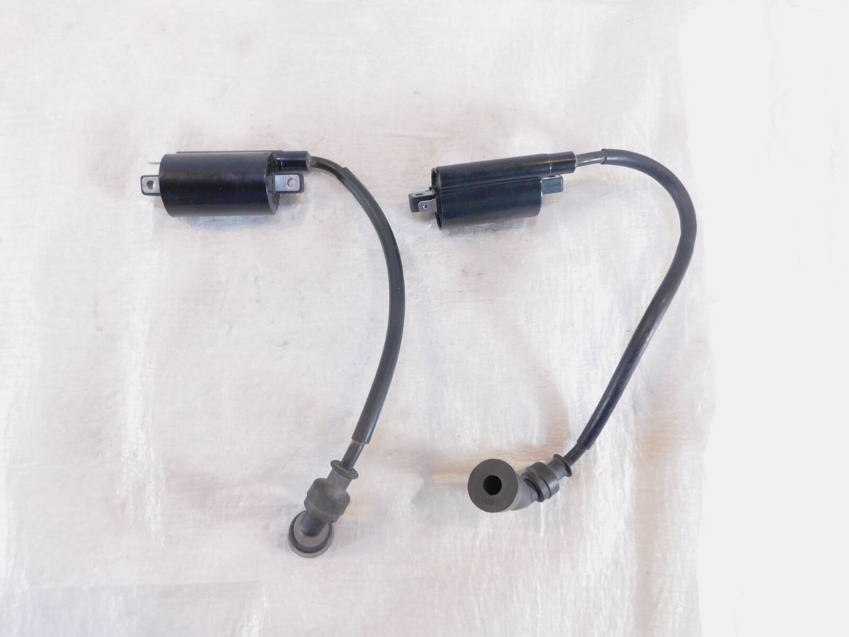 Suzuki GW250 Inazuma 250 L3 L4 L5 L7 Engine Ignition Coils w/ Spark Plug Caps - C3 Cycle