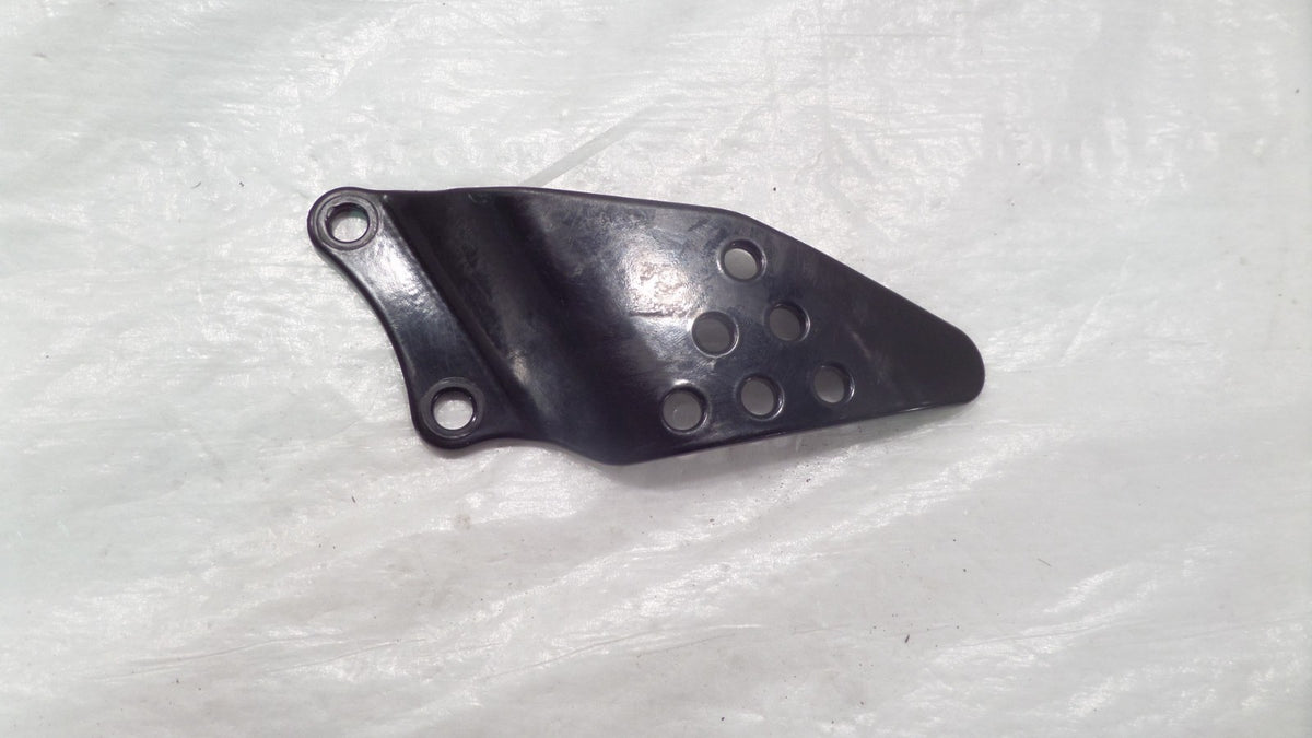 2005-2006 Kawasaki Ninja ZX6R ZX636 ZX6RR ZX600 Front Right Foot Rest Peg Guard - C3 Cycle