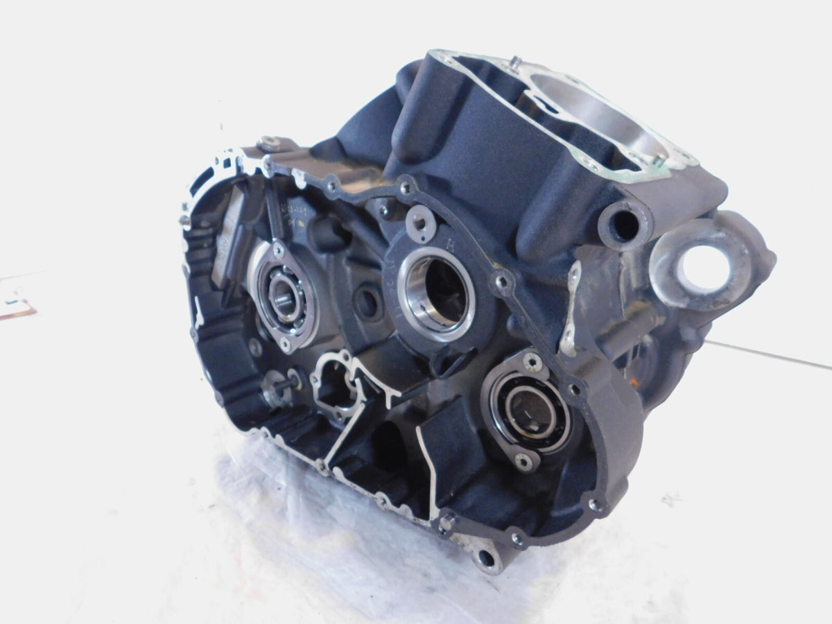 2015-2020 Harley Davidson Street 500 & 750 Engine Motor Crankcase Crank Cases - C3 Cycle