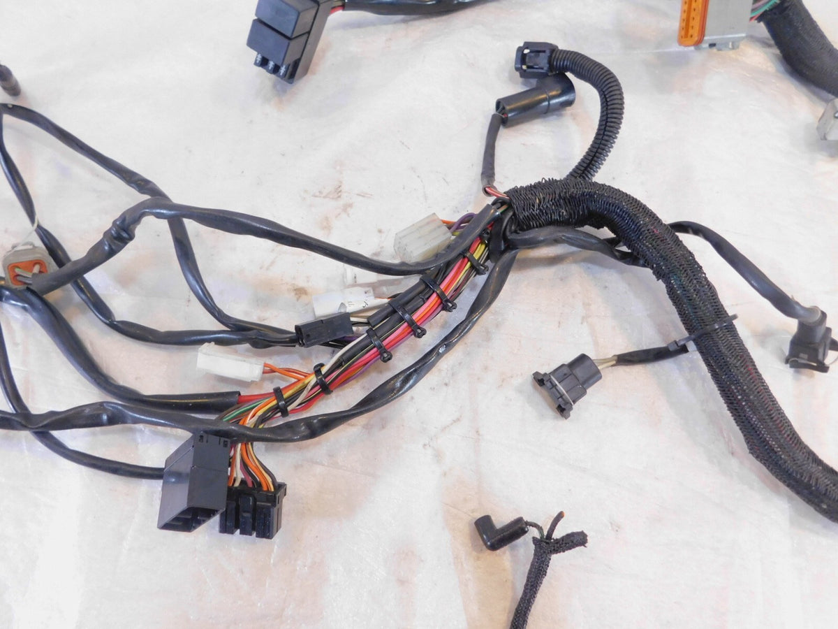 1999 99 Buell X1 Lightning Main Body & Engine Wire Wiring Harness Loom Y0200.KA - C3 Cycle