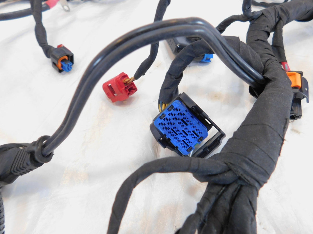 2024 Harley Davidson Pan America Special RA1250S 1250S Main Wiring Wire Harness - C3 Cycle
