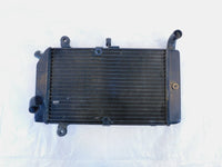 2002-2013 Honda FSC600 Silver Wing 600 Engine Motor Cooling Coolant Radiator - C3 Cycle
