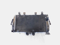 2007 2008 2009 2010 2011 2012 Triumph Tiger 1050 Engine Motor Cooling Radiator - C3 Cycle