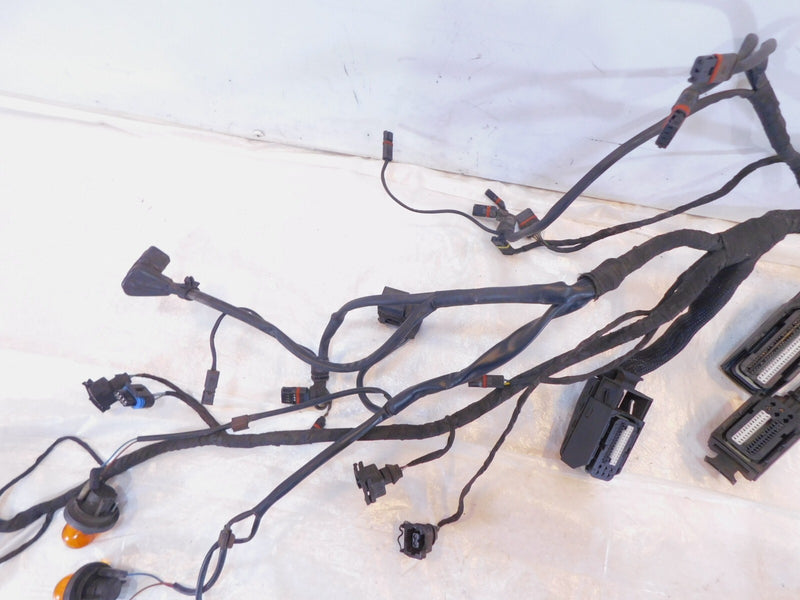 2005 05 BMW R1200ST R1200 ST Non-ABS Main Electrical Wire Harness Wiring Loom