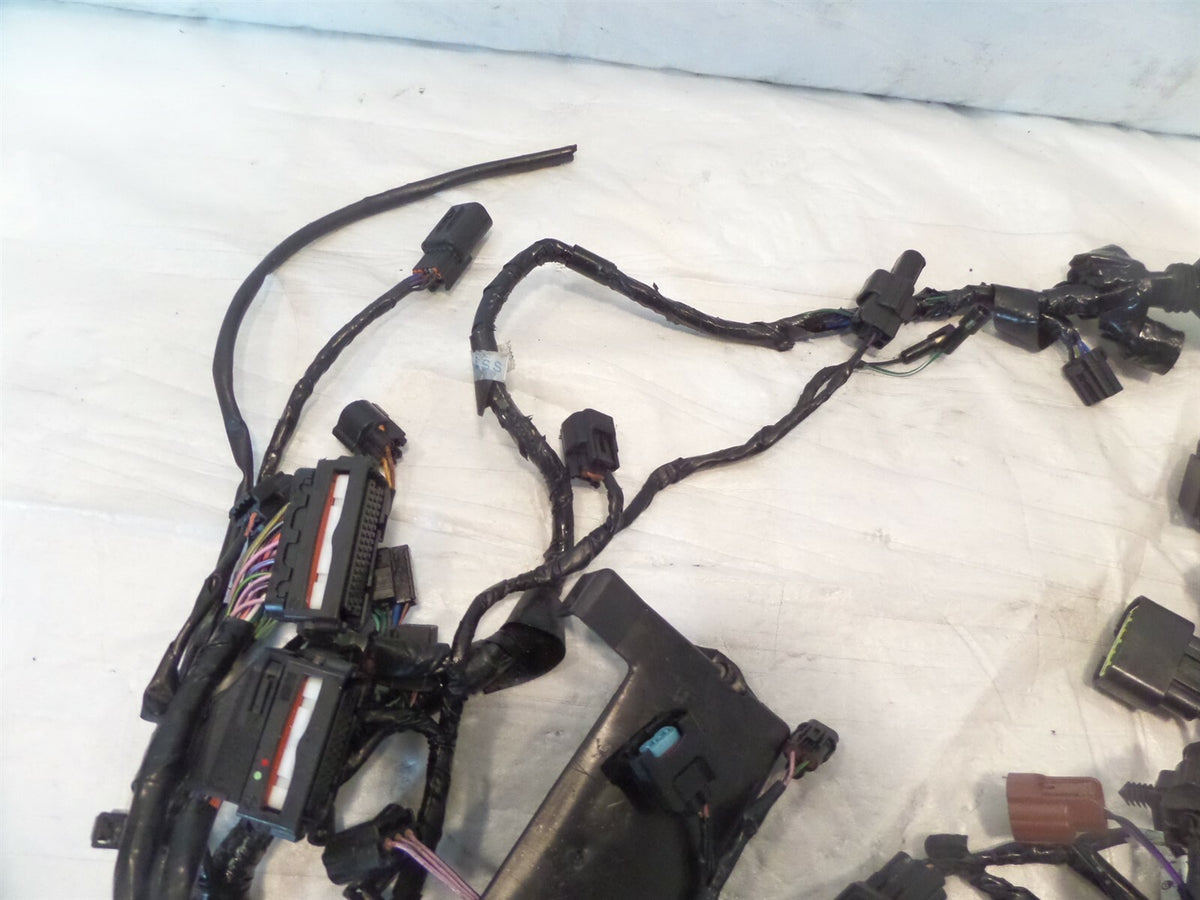 2013-2016 Triumph Street Triple R Rx Main Wire Harness Wiring Loom - ABS Only - C3 Cycle