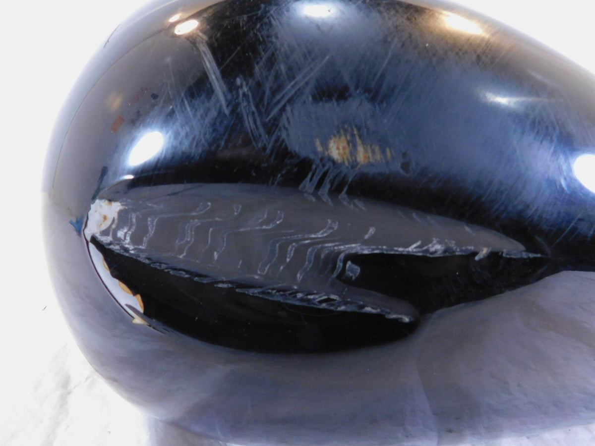 Harley Davidson Road Street & Electra Glide Black Fuel Gas Petrol Tank -Dented - C3 Cycle