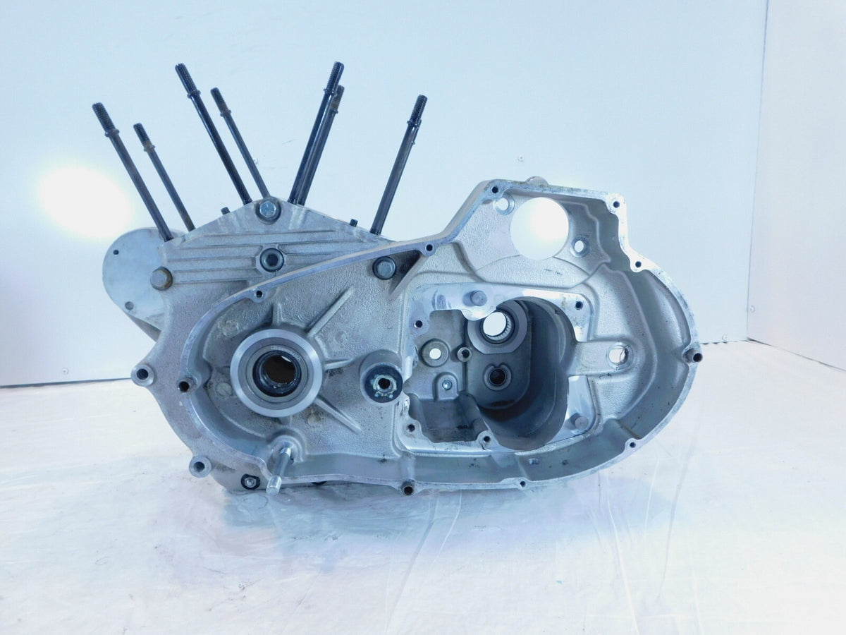 Harley Davidson Sportster 883 & 1200 Silver Crankcase Cases Engine Block - C3 Cycle