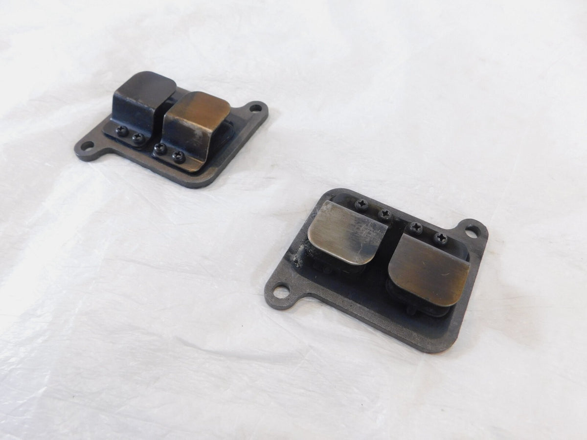 Kawasaki Vulcan VN1500 VN1600 1600 Classic Nomad Mean Streak Cylinder Head Reeds - C3 Cycle
