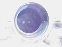 Piaggio Vespa Primavera Sprint 50 150 Fuel Petrol Gas Tank Reservoir 1B003095 - C3 Cycle