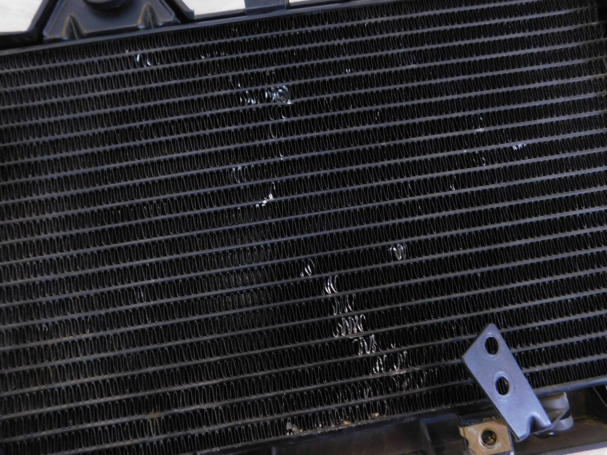 Triumph Daytona Sprint Trophy 900 & Tiger 885 Engine Motor Cooling Radiator - C3 Cycle
