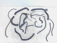 2005 Honda VFR800 Interceptor 800 Misc Oil Coolant Air Hose Pipe Line Box Lot - C3 Cycle