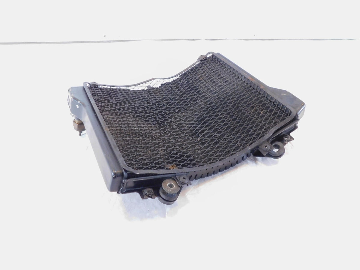 1990 1991 1992 Kawasaki Ninja ZX-11 ZX1100 ZX1100C Engine Motor Cooling Radiator - C3 Cycle