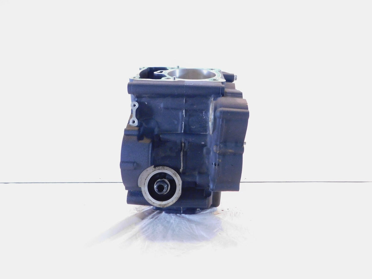 2015-2020 Harley Davidson Street 500 & 750 Engine Motor Crankcase Crank Cases - C3 Cycle