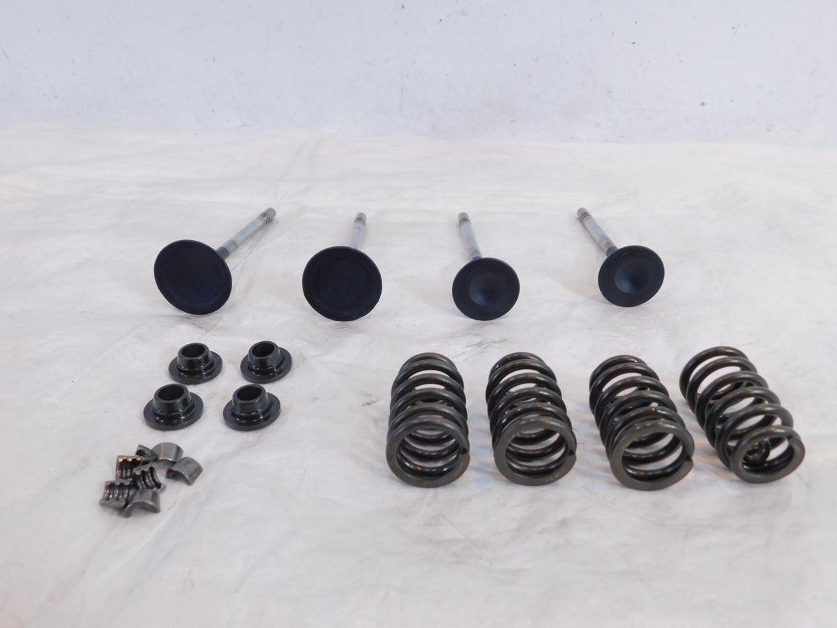 Victory Vision Kingpin & Vegas Exhaust & Intake Valves w/ Springs & Retainers - C3 Cycle
