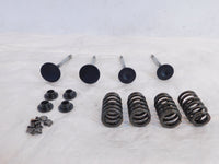 Victory Vision Kingpin & Vegas Exhaust & Intake Valves w/ Springs & Retainers - C3 Cycle