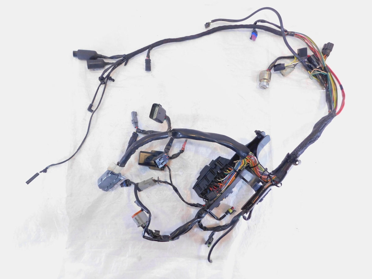 2009 09 Harley Davidson Sportster 883 & 1200 Main Wire Wiring Harness - No Key