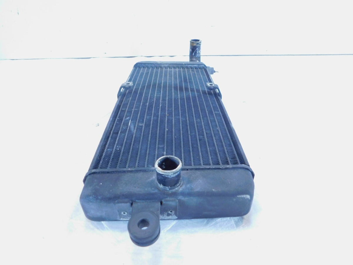 Honda VT750 VT750C Shadow 750 ACE Deluxe & Spirit Front Engine Coolant Radiator - C3 Cycle