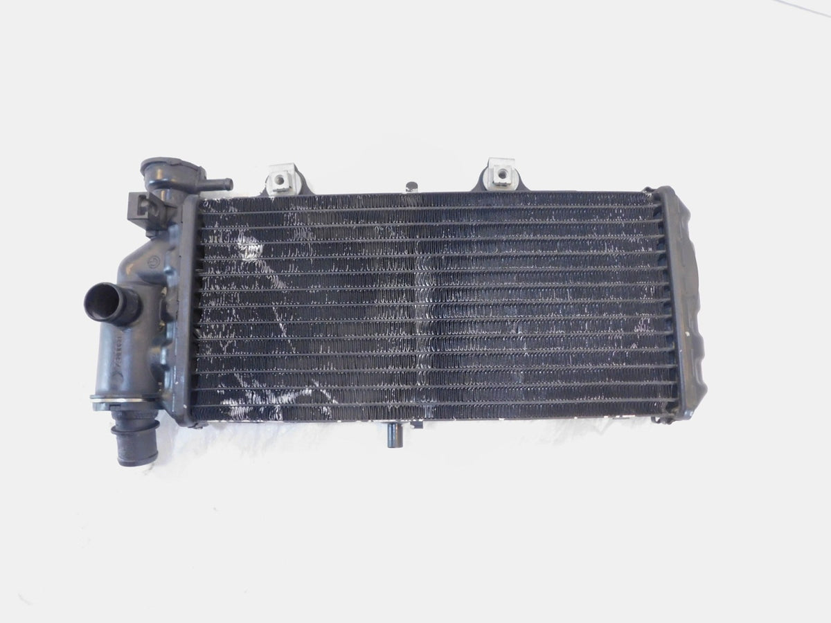 BMW F650CS F650GS Dakar & G650GS Sertao Engine Motor Water Cooling Radiator - C3 Cycle