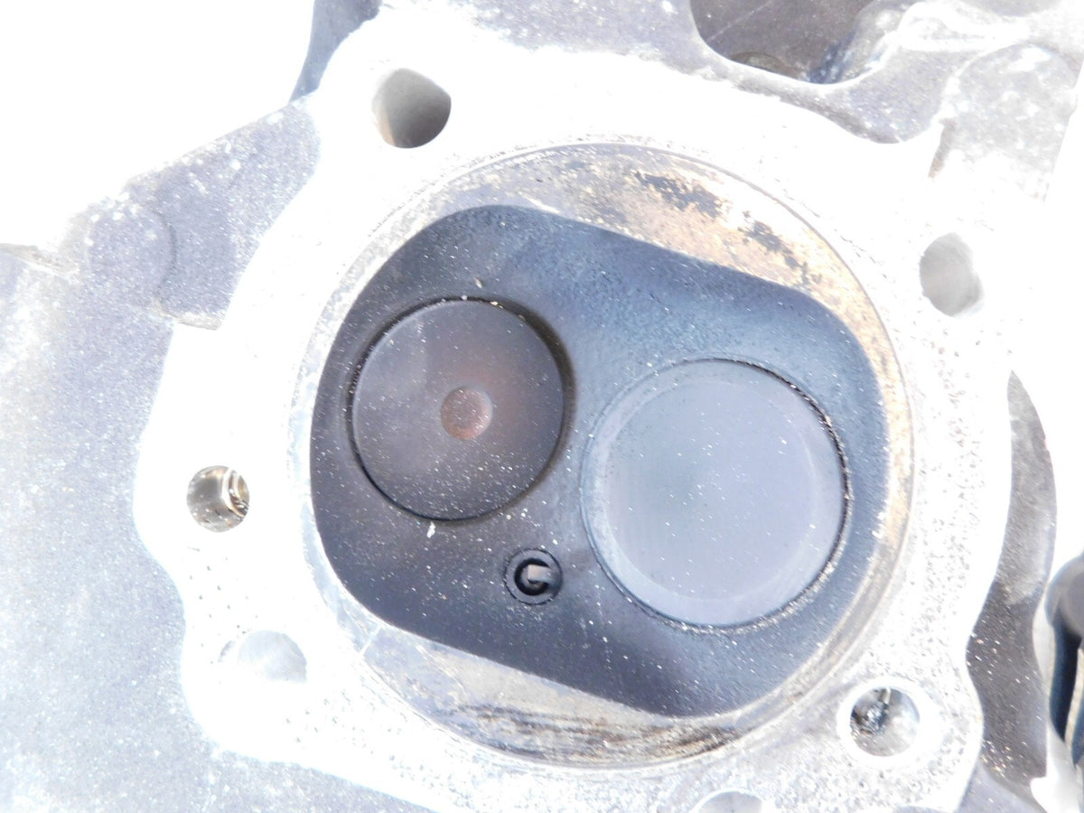 Harley Davidson Touring Softail & Dyna Black Cylinder Heads w/ Springs & Valves - C3 Cycle