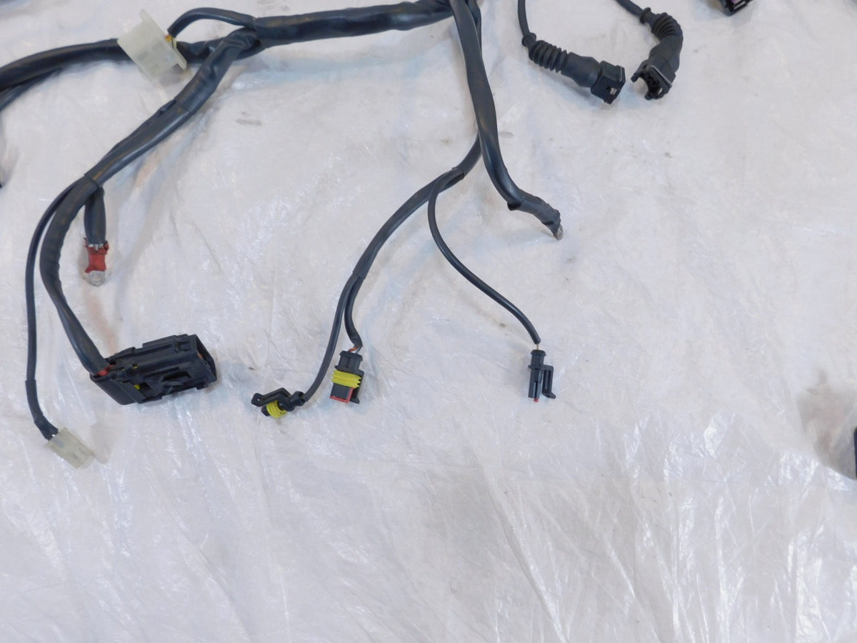 00-03 Ducati Sport Touring ST4 Main Electrical Wiring Harness Wire Cable Loom - C3 Cycle