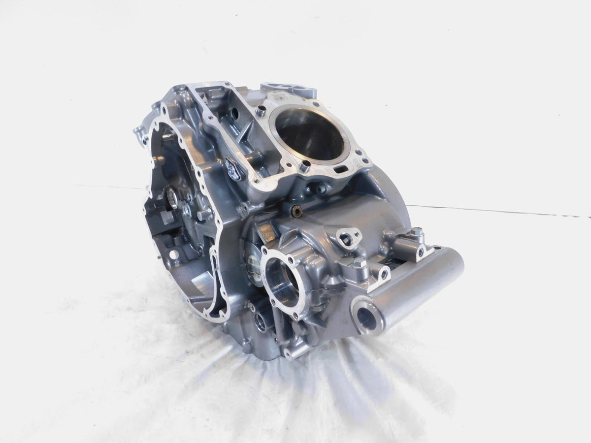 2003 Harley Davidson V-Rod VRod VRSCA Silver 100th Anniversary Crankcase - C3 Cycle